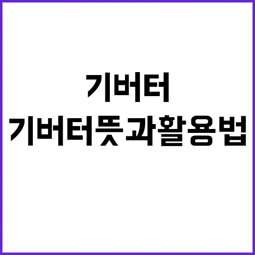 기버터 뜻과 활용법: 이해하고 활용하는 방법 - 요약