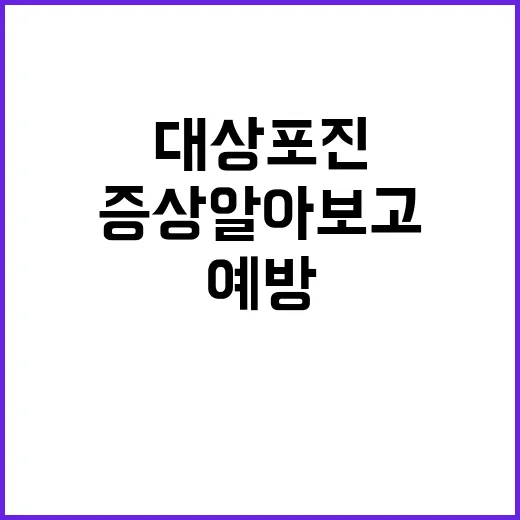대상포진 증상 알아보고 예방하는 방법 - 요약