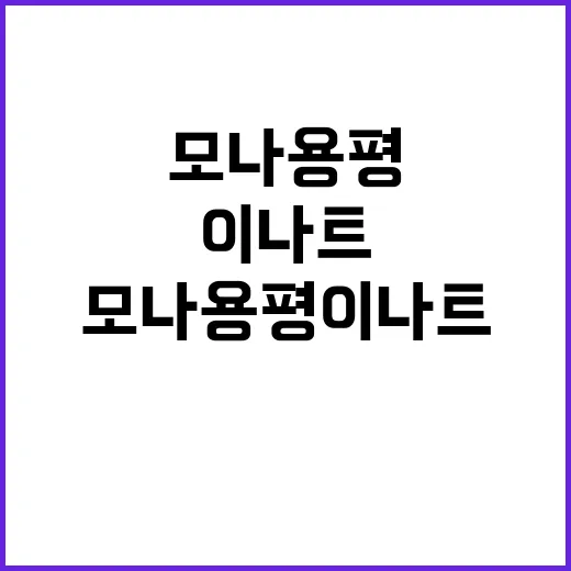 모나용평 이나트로 더 풍성한 여행을 즐기는 방법 - 요약