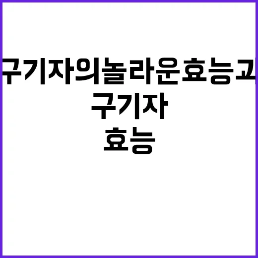 구기자의 놀라운 효능과 활용 방법 - 요약