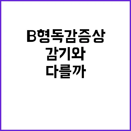 B형 독감 증상 알아보기: 감기와 뭐가 다를까? - 요약