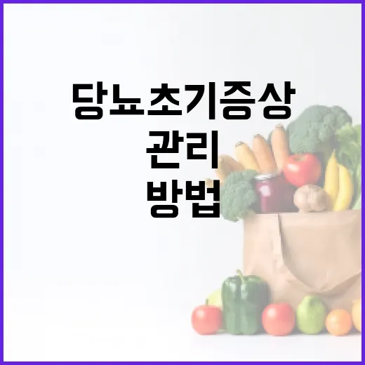 당뇨 초기증상을 인식하고 관리하는 방법 - 요약