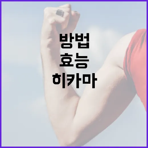 히카마의 효능과 활용 방법 알아보기 - 요약