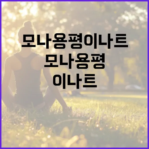모나용평 이나트에서 즐거운 시간을 보내는 방법 - 요약