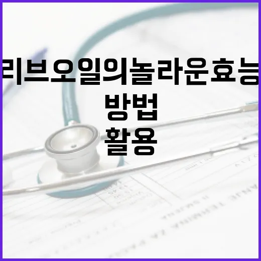 올리브오일의 놀라운 효능과 활용 방법 - 요약