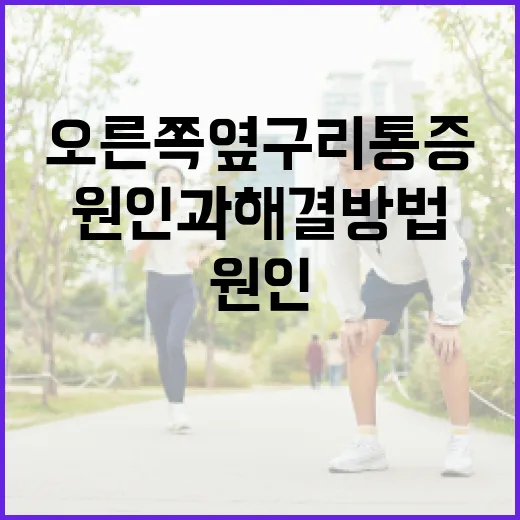 오른쪽 옆구리 통증의 원인과 해결 방법 - 요약