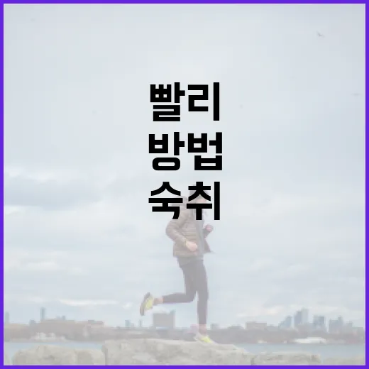 숙취를 빨리 해소하는 방법: 효과적인 팁과 요령 - 요약