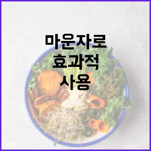 효과적으로 마운자로 사용하는 방법 - 요약