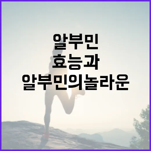 알부민의 놀라운 효능과 활용 방법 - 요약