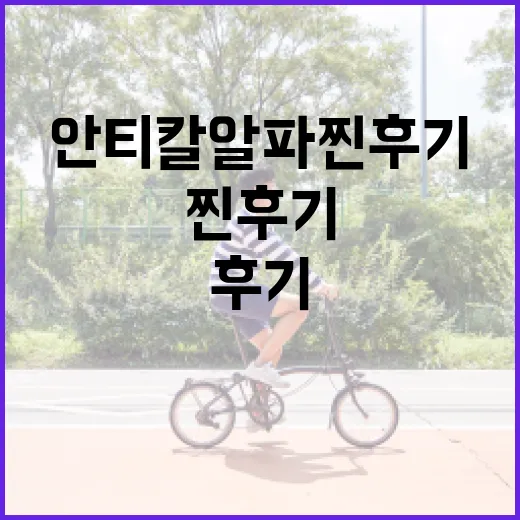 안티칼알파 찐후기: 효과와 사용법 알아보기 - 요약