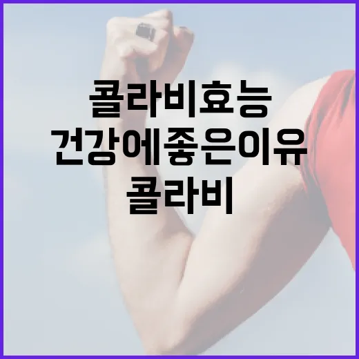 콜라비 효능 알아보는 방법: 건강에 좋은 이유 - 요약