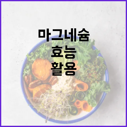 마그네슘의 효능을 최대한 활용하는 방법 - 요약