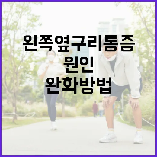 왼쪽 옆구리 통증의 원인과 완화 방법 - 요약