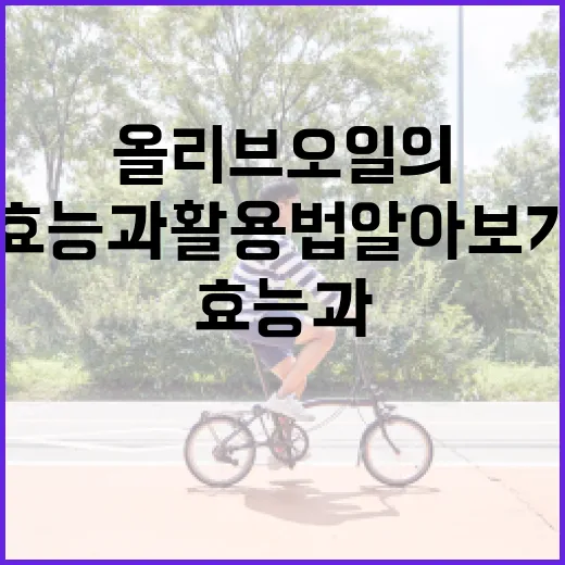 올리브오일의 놀라운 효능과 활용법 알아보기 - 요약