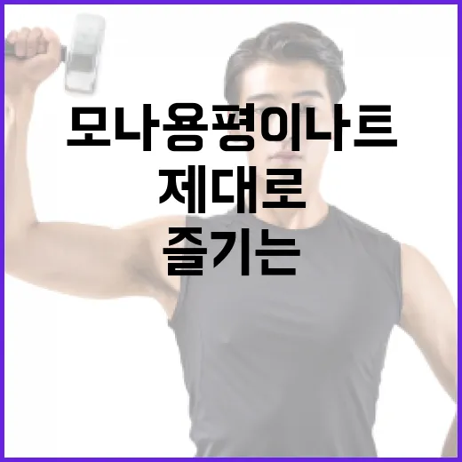 모나용평 이나트 제대로 즐기는 방법 - 요약