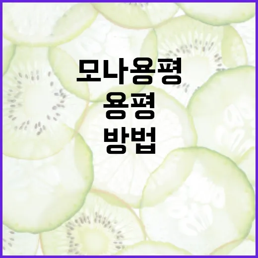 모나용평 이나트에 대해 알아보는 방법 - 요약