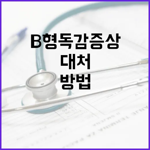 B형 독감 증상을 이해하고 대처하는 방법 - 요약