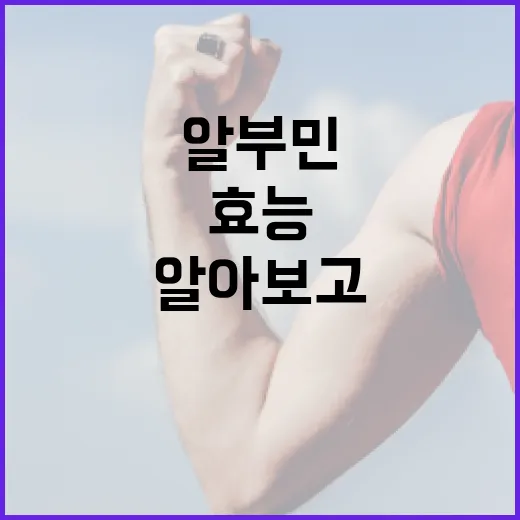 알부민 효능을 알아보고 건강하게 활용하는 방법 - 요약