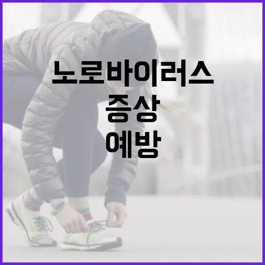 노로바이러스 증상을 알아보고 예방하는 방법 - 요약