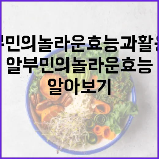 알부민의 놀라운 효능과 활용법 알아보기 - 요약