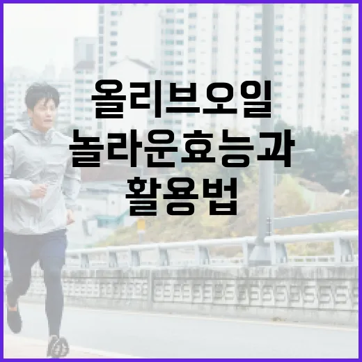 올리브오일의 놀라운 효능과 활용법 - 요약