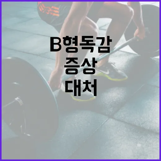 B형 독감 증상을 이해하고 대처하는 방법 - 요약