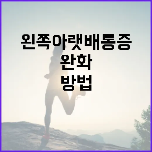 왼쪽 아랫배 통증을 이해하고 완화하는 방법 - 요약