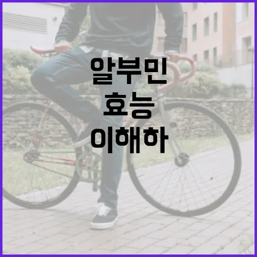 알부민의 효능을 이해하고 활용하는 방법 - 요약