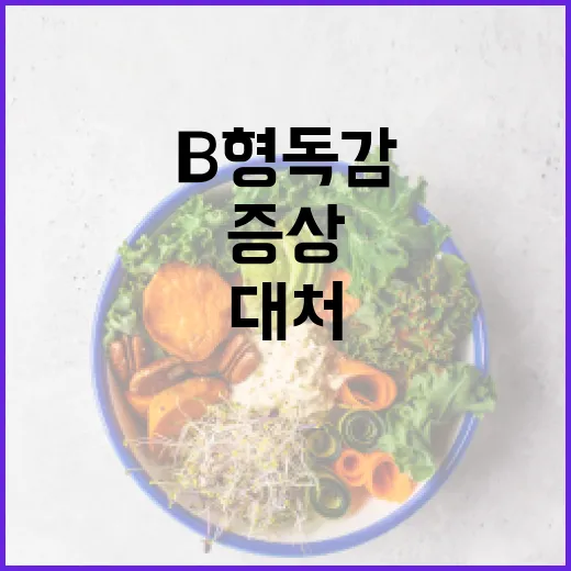 B형 독감 증상을 알아보고 대처하는 방법 - 요약