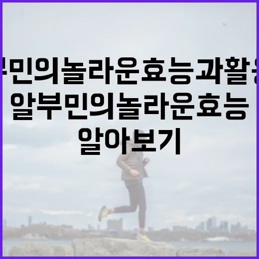 알부민의 놀라운 효능과 활용법 알아보기 - 요약