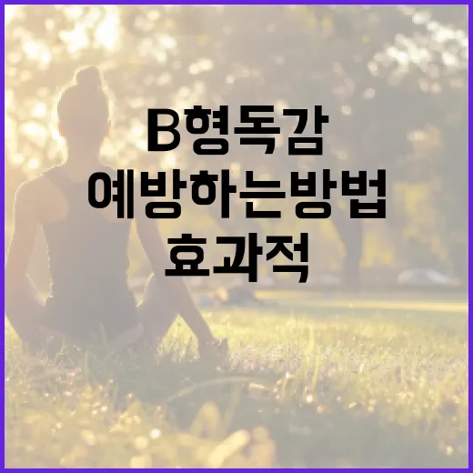 B형 독감을 효과적으로 예방하는 방법 - 요약