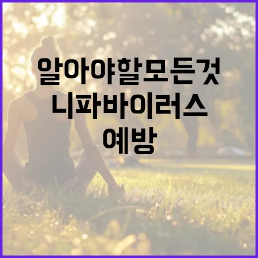 니파바이러스에 대해 알아야 할 모든 것과 예방 방법 - 요약