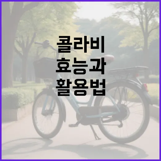 콜라비의 놀라운 효능과 활용법 알아보기 - 요약