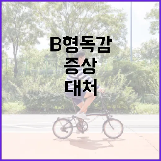 B형 독감 증상을 이해하고 대처하는 방법 - 요약