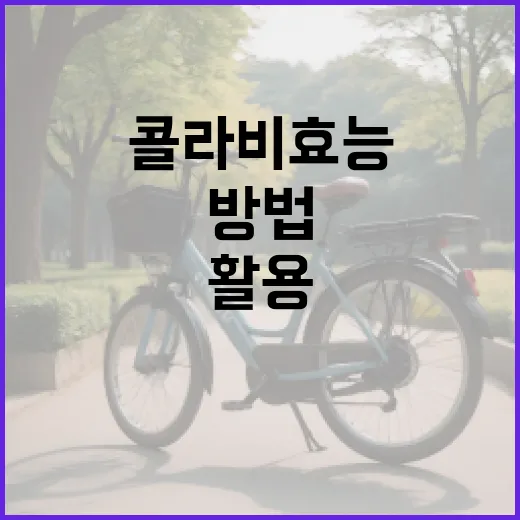 콜라비 효능을 최대한 활용하는 방법 - 요약