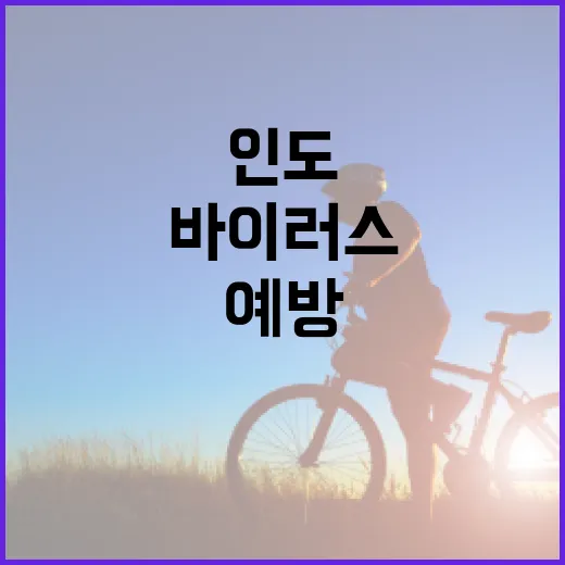 인도 바이러스를 이해하고 예방하는 방법 - 요약