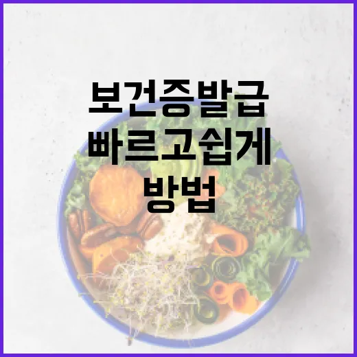 보건증 발급을 빠르고 쉽게 받는 방법 - 요약