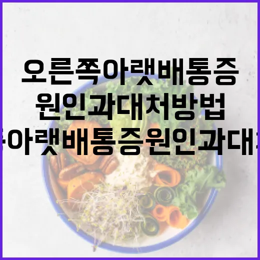 오른쪽 아랫배 통증 원인과 대처 방법 - 요약