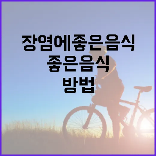 장염에 좋은 음식을 선택하는 방법 - 요약