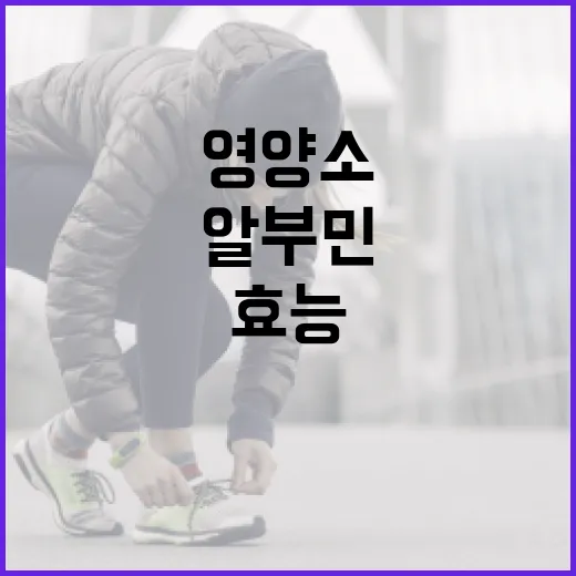 알부민의 효능 알아보기: 건강을 위한 필수 영양소 - 요약