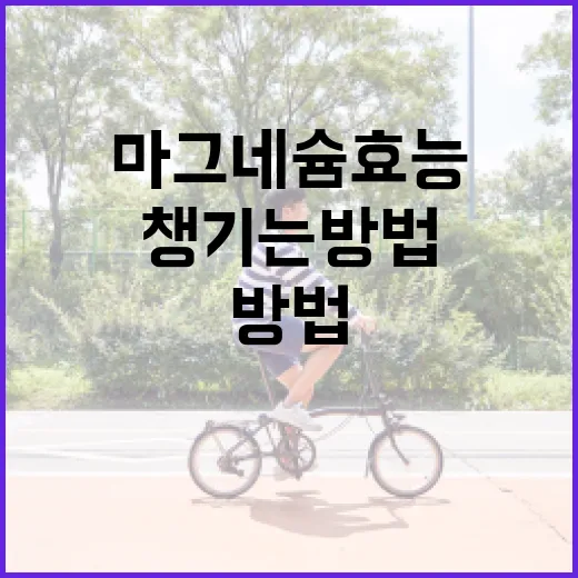 마그네슘 효능 알아보고 건강 챙기는 방법 - 요약