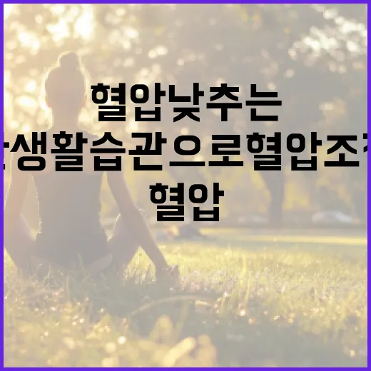 혈압 낮추는 방법: 건강한 생활 습관으로 혈압 조절하기 - 요약