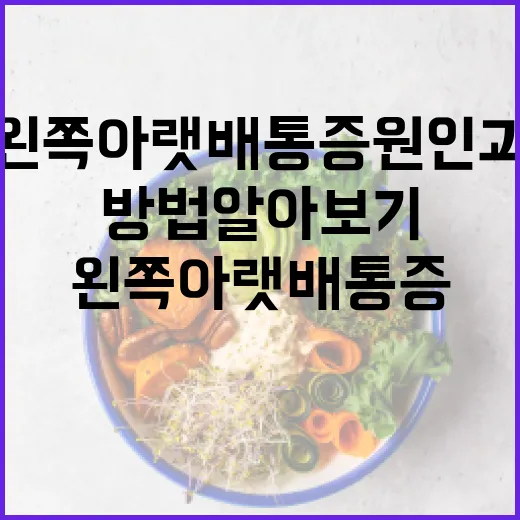 왼쪽 아랫배 통증 원인과 치료 방법 알아보기 - 요약