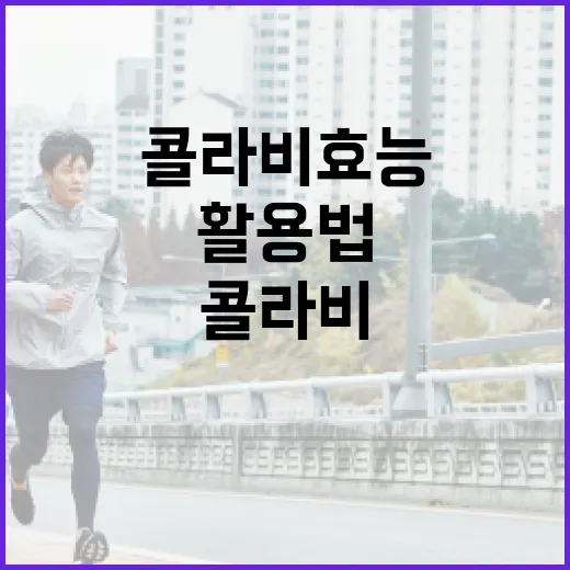 콜라비 효능과 활용법: 건강을 챙기는 방법 - 요약