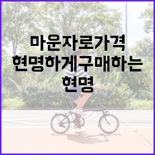 마운자로 가격을 이해하고 현명하게 구매하는 방법 - 요약