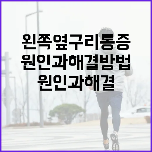 왼쪽 옆구리 통증의 원인과 해결 방법 - 요약