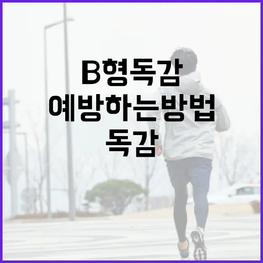 B형 독감을 예방하는 방법 - 요약