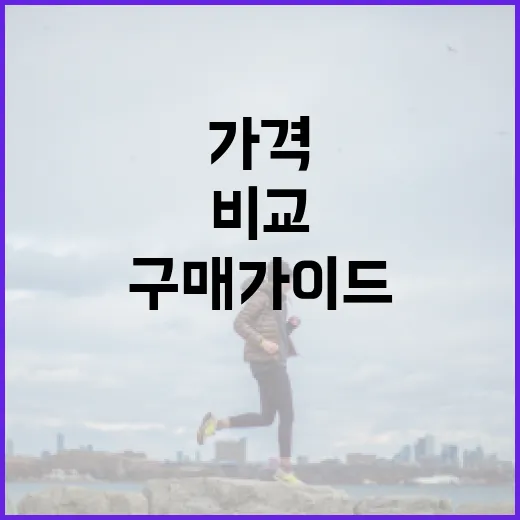 마운자 가격 비교 및 구매 가이드 - 요약