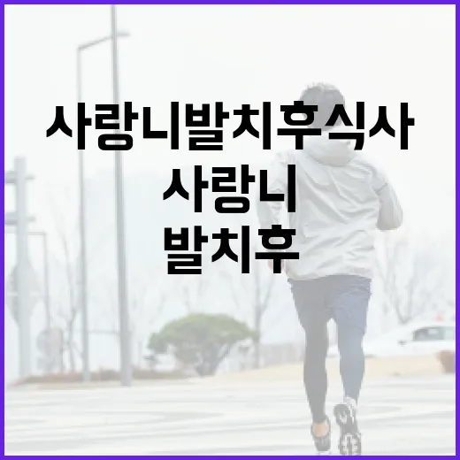 사랑니 발치 후 식사하는 방법 - 요약