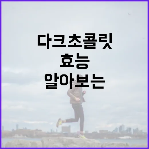 다크초콜릿의 놀라운 효능을 알아보는 방법 - 요약
